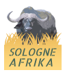 Sologne Africa by Cartouches Sologne